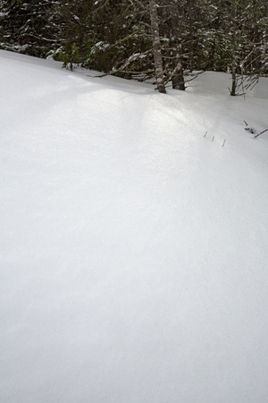 Shadows of a setting sun lay across deeply drifted snow in the woods of northern Maine.の写真素材