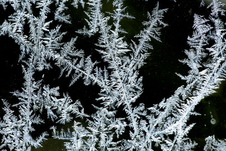 Feathery ice patterns on a frosted window in the winter in northern Maine.の写真素材