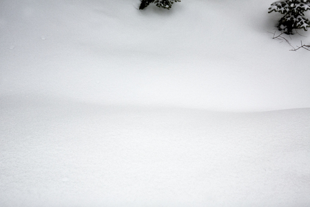 Ivory mounds and basins of drifted snow with subtle textures in a northern Maine winter.の写真素材