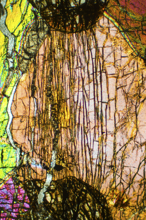 Abstract micrograph of the mineral olivine pyroxenite, viewed with a polarizing microscope at 100x.