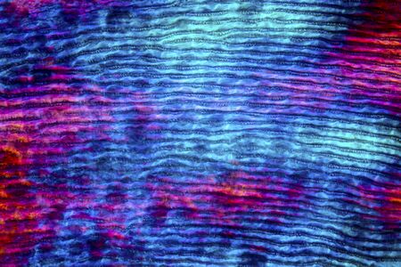 Colorful, abstract micrograph of fish scale, northern red snapper, Lutjanus campechanus, with polarization at 100x.の写真素材