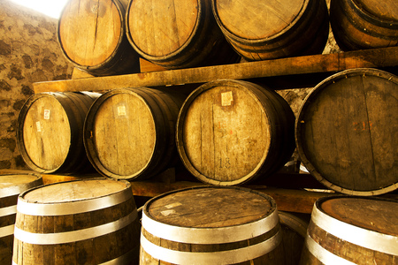 Wine barrels stacked in the old cellar of the winery.