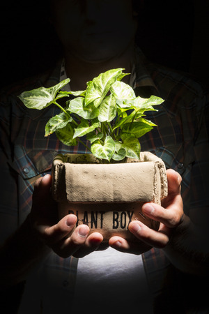 Farmer hand holding a fresh young plant. Symbol of new life and environmental conservationの写真素材