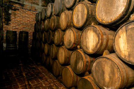 Wine barrels stacked in the old cellar of the winery.