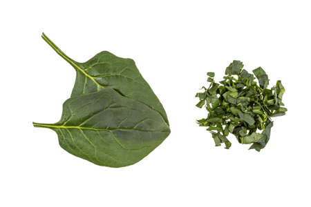 Close up of basil on white background
