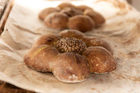 hands of the teacher baker in the bread production on the table