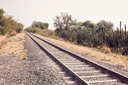 Desaturated landscape with old train tracks and cactus in the background.の写真素材