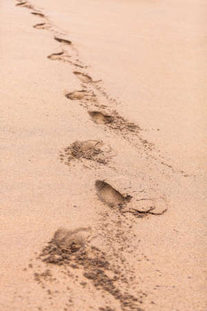 Ocean landscape in mexico beach. detail of footprints marked in the sandの写真素材