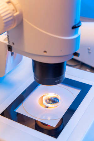 Man Technician in biology managing High technology microscope.