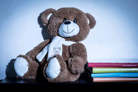 Teddy bear soft toy in child's bedroom with colorful books, with blue night lightの写真素材