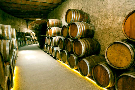 Wine barrels stacked in the old cellar of the winery.