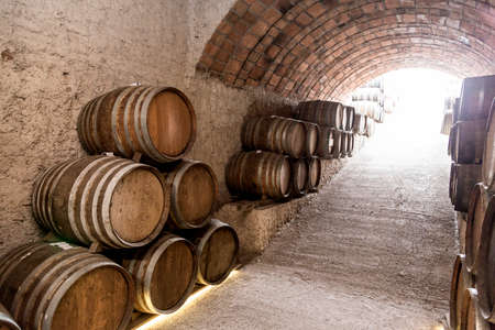 Wine barrels stacked in the old cellar of the winery.
