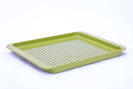 Plastic container green food
