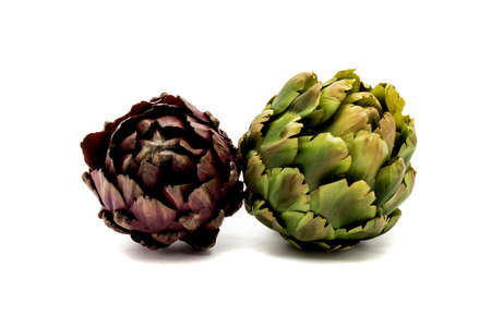 Green and ripe artichokes on white backgroundの写真素材
