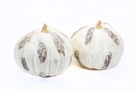 Decorative pumpkins on white backgroundの写真素材
