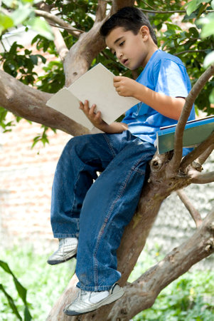 A boy reading sit in the treeの写真素材