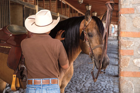 Purebred wild horse, riding in the stableの写真素材