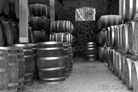 Wine barrels stacked in the old cellar of the winery. Black and White.