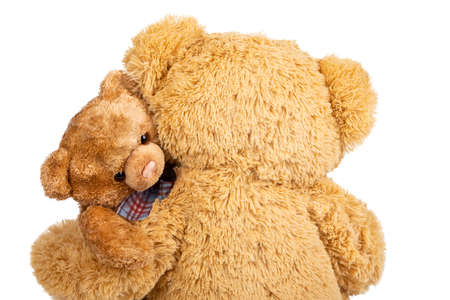 Teddy bear with little bear in on white background.の写真素材