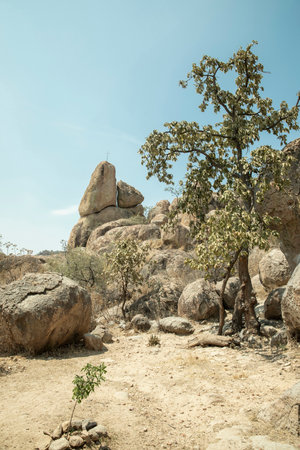 stones of the hill of the tooth at sunsetの写真素材