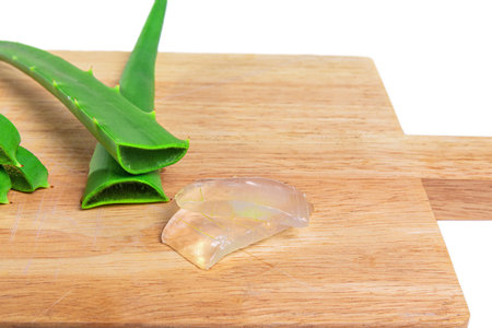 aloe in garden being cut from the base on sunny dayの写真素材