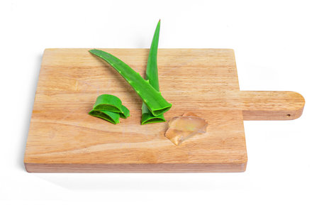 aloe in garden being cut from the base on sunny dayの写真素材