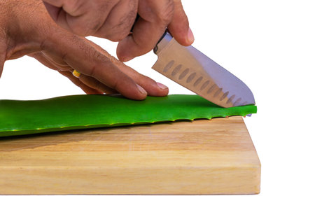 aloe in garden being cut from the base on sunny dayの写真素材