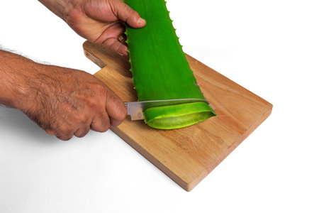 aloe in garden being cut from the base on sunny dayの写真素材