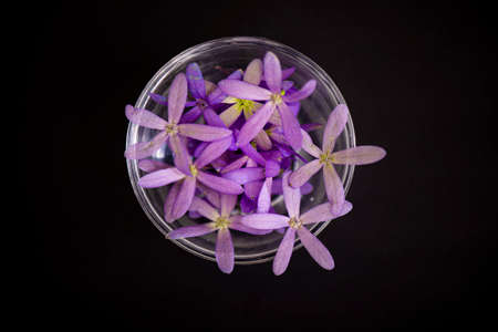 cooking container with purple flowersの写真素材