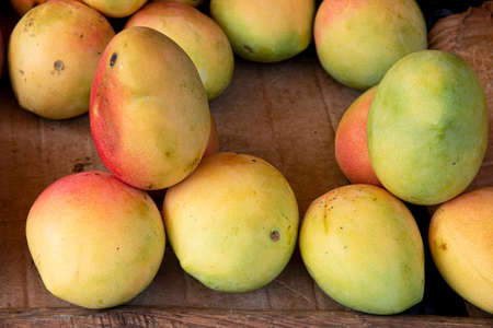 mango in food courtの写真素材