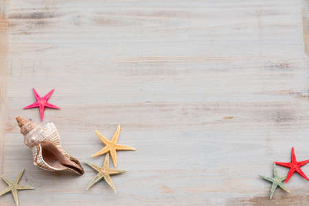 Starfish and seashells on a gray shabby background. Time of sea and vacation.の写真素材