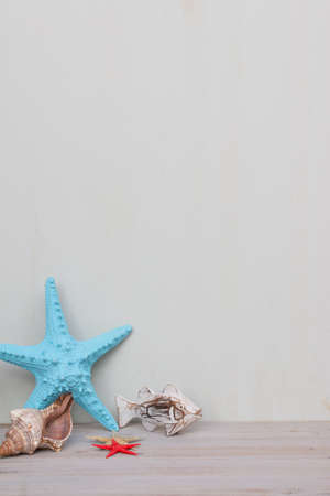 Starfish and seashells on a grey shabby background with copy space. Time of sea and vacation.の写真素材
