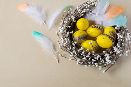 Easter eggs in the nest on light background. Scattered color feathers. Traditionally holiday decorating.の写真素材