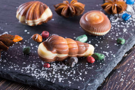 Traditional Belgian shell shape on black background. Candy in form of seafood close upの写真素材