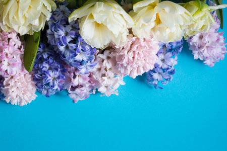 White tulips, pink and blue hyacinths. garden spring flowers. top view on blue backgroundの写真素材