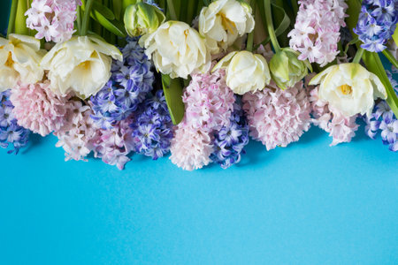 White tulips, pink and blue hyacinths flowers on a bright blue background. Top view, copy space for textの写真素材