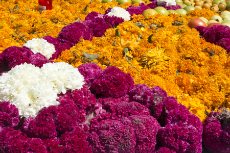 The day of the dead is a mexican celebration that honors the ancestors during the November 2, coinciding with the catholic celebration of the day of the faithful departed.の写真素材