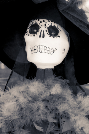 The day of the dead is a mexican celebration that honors the ancestors during the November 2, coinciding with the catholic celebration of the day of the faithful departed.の写真素材