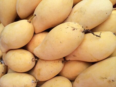 Pile of mango in fruit marketの素材