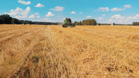 Modern combine harvester working on the field. low angle wide shot. High quality photo