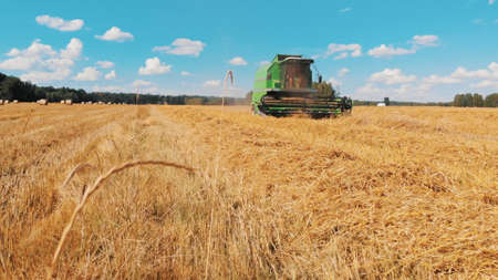 Modern combine harvester working on the field. low angle shot. High quality photo