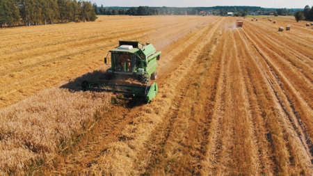 big combine harvester cutting wheat on the field. Agricultural machinery gathering ripe grains on...
