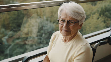 Portrait of senior gray haired woman with eyeglasses in the wheelchair in front of the window. High quality photoの写真素材