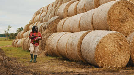 Young african man, farmer working on tablet in front of the hay roll stack. Smart farming concept, wide angle. High quality photoの写真素材