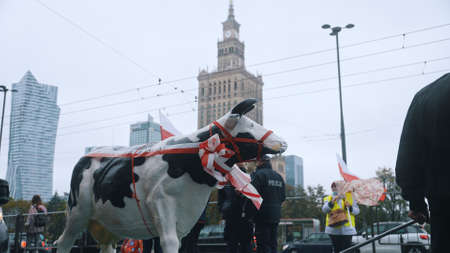Warsaw, Poland 13.10.2020 - Protest of the Farmers Fur and meat business represantatives protesting in the city centre of Warszawa. High quality photoのeditorial素材