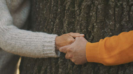 Old couple having romantic autumn day in forest. Hugging tree. Close up on wrinkled hands. High quality photoの写真素材