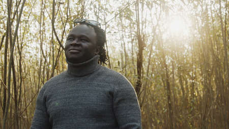 Young african man walkling through the woods looking. Sunrays coming through trees. High quality photoの写真素材