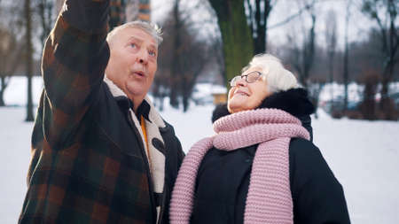 Happy elderly couple playing with airplane toy in the park. Winter holiday plans. High quality photoの写真素材
