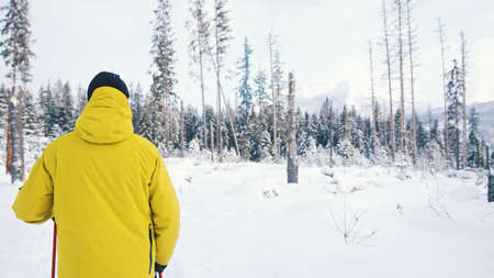 Unrecognizable young traveler in yellow winter jacket hiking through the snow covered forest. High quality photoの写真素材