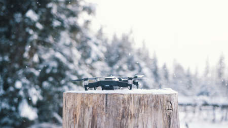close up drone rising up from the tree stump on snowy winter day. High quality photoの写真素材